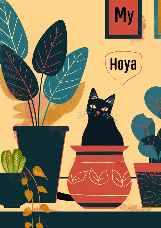 Affiche My Hoya