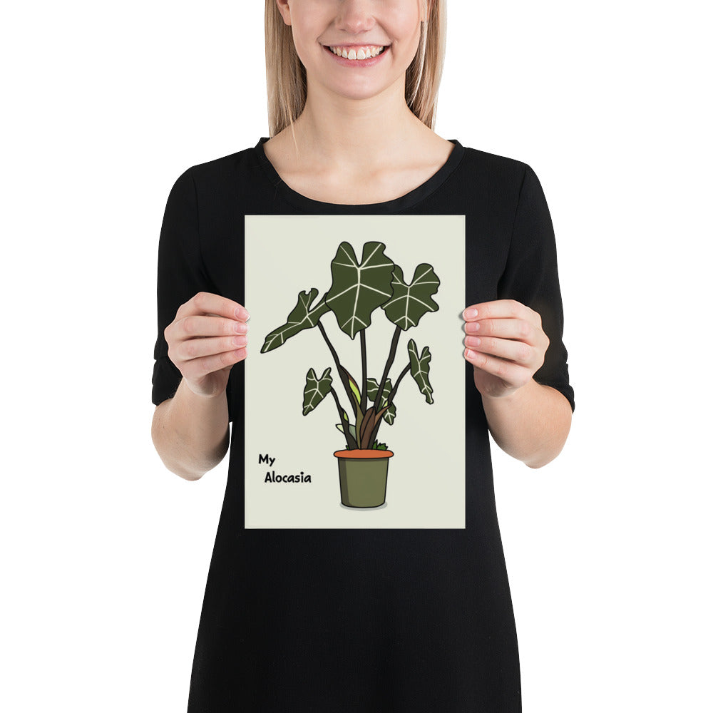 Affiche My Alocasia 1