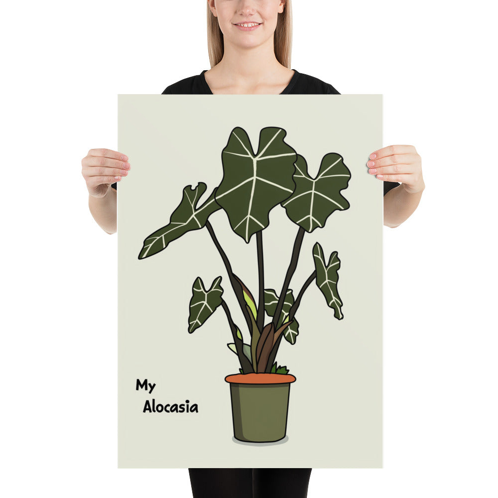 Affiche My Alocasia 1