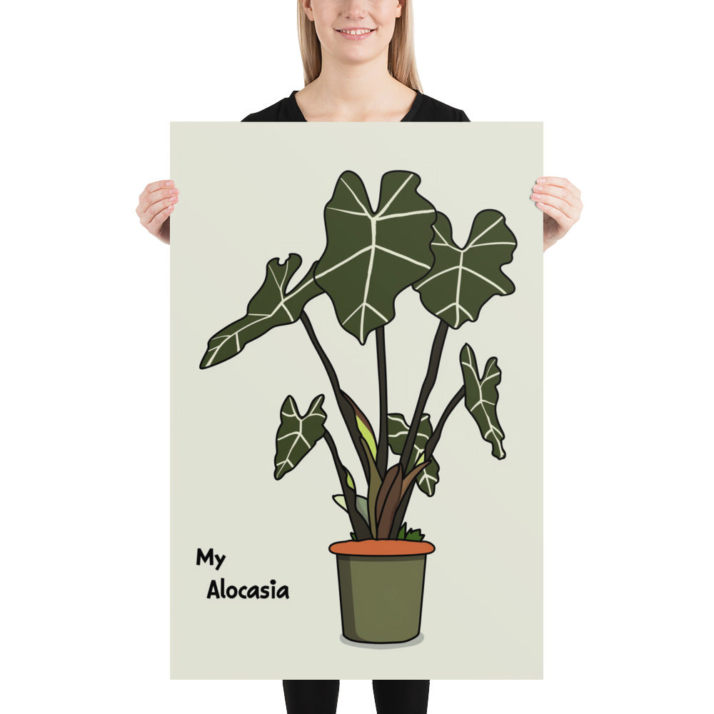 Affiche My Alocasia 1