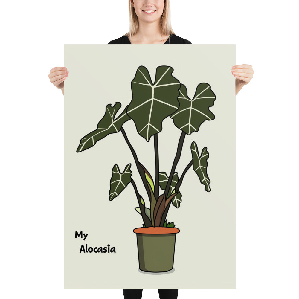 Affiche My Alocasia 1